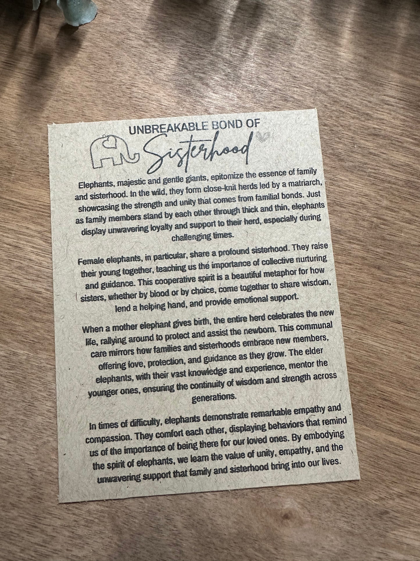 Sisterhood Story Card Ornament