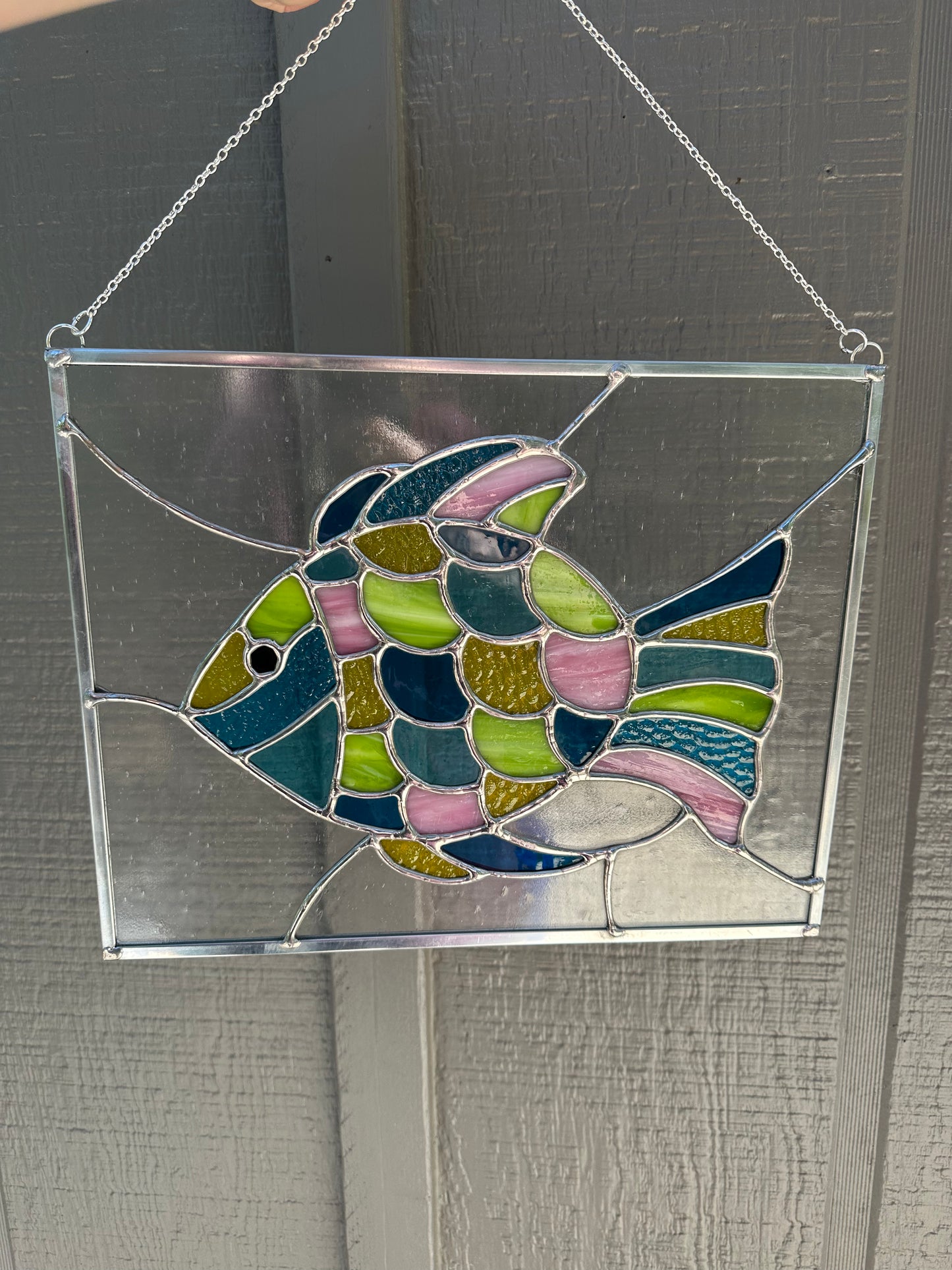 Rainbow Fish Panel